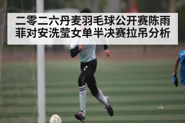 二零二六丹麦羽毛球公开赛陈雨菲对安洗莹女单半决赛拉吊分析